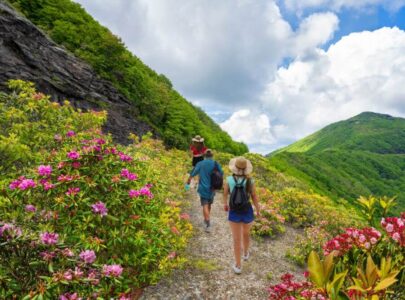 Hiking in Blue Ridge GA